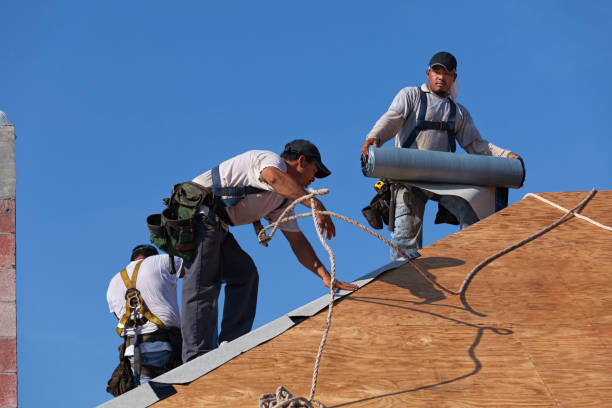 Best Local Roofing Companies  in Chincoteague, VA